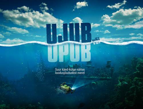 “Ujub või Upub?” näitusegraafika